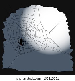 Halloween background with a cobweb and spider