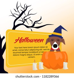 halloween background collection with dog pumpkin ball and candle