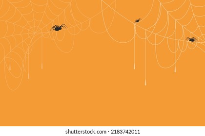 Halloween background concept. Spider and cobweb background