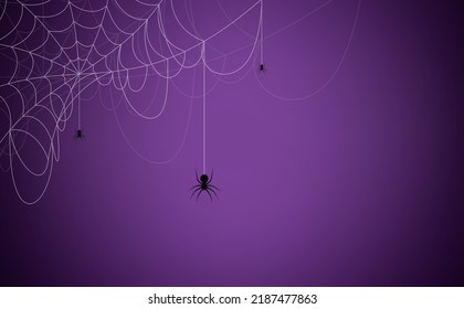Concepto de fondo de Halloween. Fondo de araña y telaraña