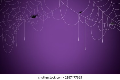 Halloween background concept. Spider and cobweb background