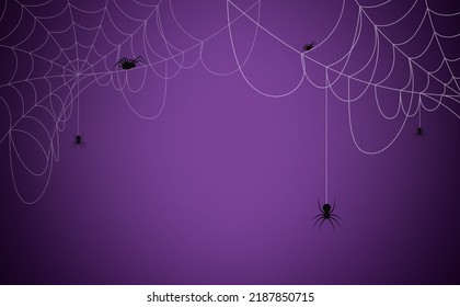 Halloween background concept. Spider and cobweb background