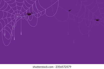 Halloween background concept. Spider and cobweb background