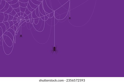 Halloween background concept. Spider and cobweb background