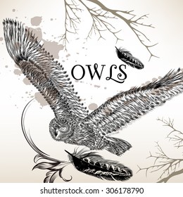 Halloween background with hand drawn owl in a  fly