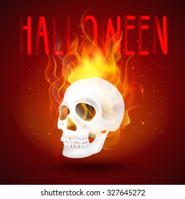 Halloween background Human skull in fire. Vector