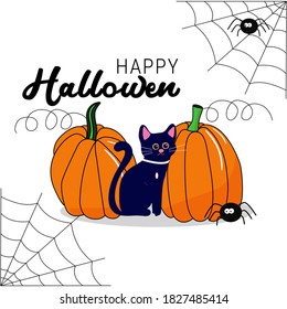 halloween background with pumpkin, ghost and cat. For the design of postcards, flyers. Vector.