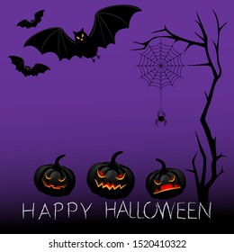 Halloween background with pumpkins, bats and spider.