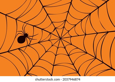 Halloween background with spider and cobweb.