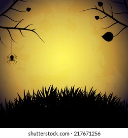 Halloween background with spider. EPS10 vector.