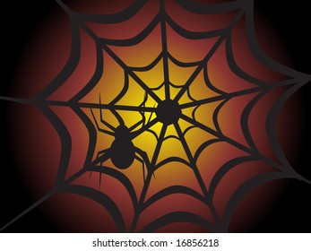 halloween background of spider on the net, illustration