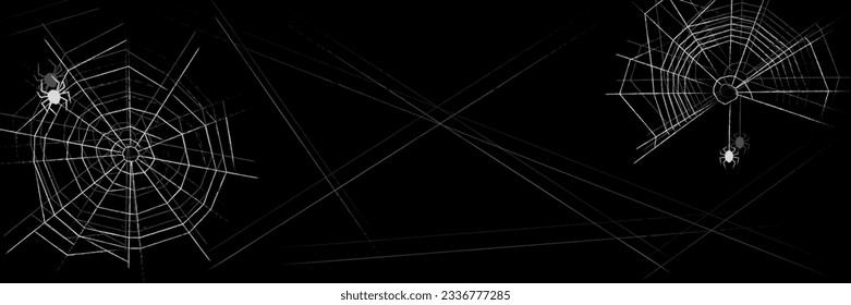 Fondo de Halloween con telaraña. Resumen de telarañas de línea texturadas con arañas aisladas sobre fondo negro. Cartel, plantilla de afiches con espacio para copiar. Ilustración del vector