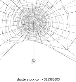 Halloween background. Spider web. Vector illustration