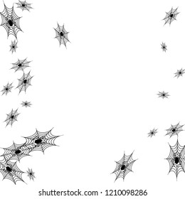 Halloween background with spiders on black. Halloween party card background template. Spider on the web.

