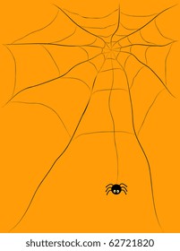 Halloween background with spider's web . Vector illustration.