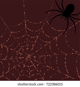 Halloween background. Spiderweb covered in raindrops and a spider on red background. Halloween frame.