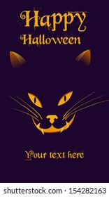 Halloween banner with a cat