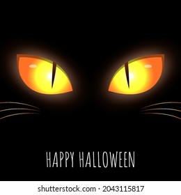 Halloween banner with cat eye scary. Vector Illustration.