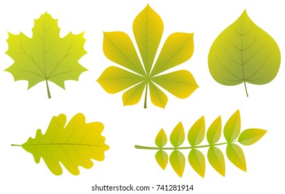 Halloween - banner with funny lanterns. Vector.