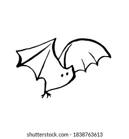 Halloween bat doodle element. Isolated vector illustration for october holidays design