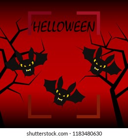 halloween bat night vector illustration