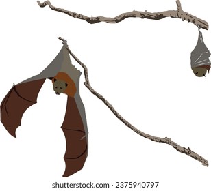 Halloween Bats Hanging on branches