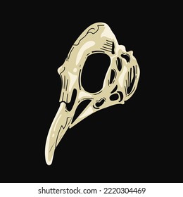 Halloween bird scull, vector illustration isolated, black background. Bones art, texture