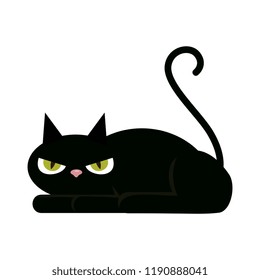 halloween black cat character