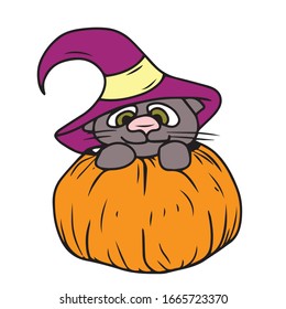 Halloween, a black cat in a hat is sitting in a pumpkin . Colorful silhouette. Children's flat vector design on a white isolated background.