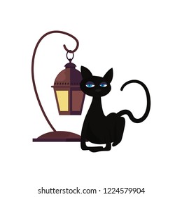 halloween black cat and lamp