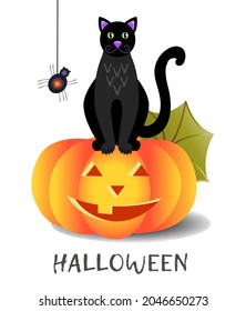  Halloween. A black cat on a smiling pumpkin and his spider friend.   Vector illustration with inscriptions.  For poster, brochure, advertising, promotion. 