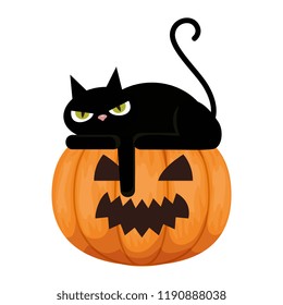 halloween black cat with pumpkin character