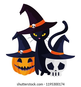 halloween black cat with pumpkin character