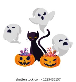 halloween black cat with pumpkin character