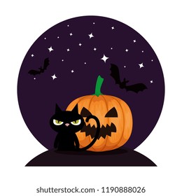 halloween black cat with pumpkin in the night