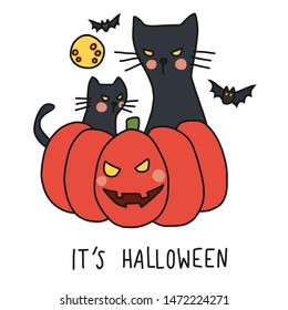 Halloween black cat sit on pumpkin cartoon vector illustration