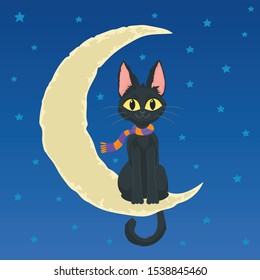 Halloween black cat sitting on the moon