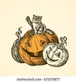 Halloween. Black cat sitting on pumpkin. Vintage style. Vector illustration.