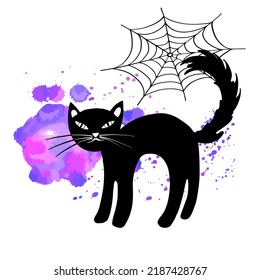 Halloween Black Cat with Spider Web. Hand drawn sketch style. Ink drawing. Blobs watercolor background. Vector Halloween illustration.