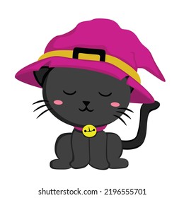 Halloween Black Cat Witch  Illustration Vector