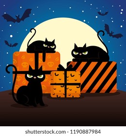 halloween black cats with gifts on night