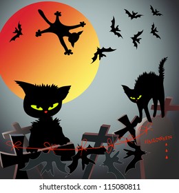 Halloween: black cats hunt for bats at night on the old thrown cemetery