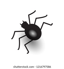 Halloween black spider icon vector illustration