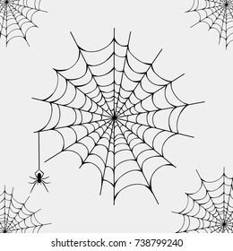 halloween Black spider and torn web. Scary spiderweb  symbol. Isolated on white vector illustration