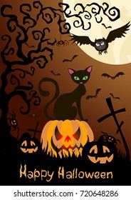 Halloween card. Cat on the pumpkin, owl, spiders