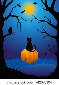 Halloween card with cat and pumpkin. Vector illustration.