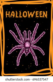 Halloween card of poison spider on black background and orange hand drawn frame with sparkles. Vector.