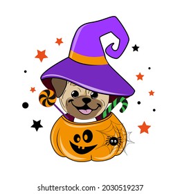 Halloween card with pug dog with pumpkin. Vector illustration of cartoon animals. Trick or treat