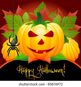 halloween card with pumpkin and spider - vector illustration