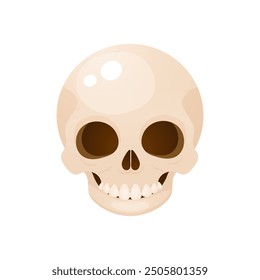 Halloween cartoon skull illustration. Vector illustration on white background.
